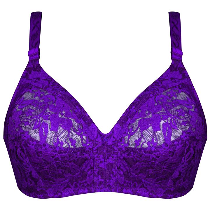 سوتین زنانه پانیذ کد 3169-4